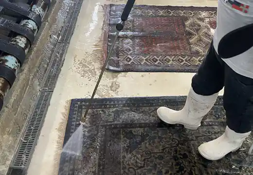 Area Rug Cleaning Service Miami