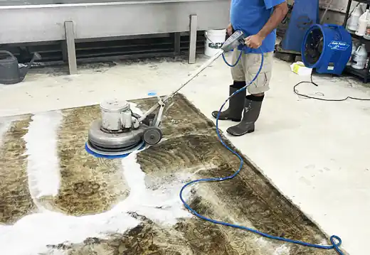 Rug Cleaning Service Miami Springs