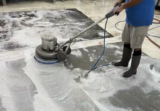 Area Rug Cleaner South Beach