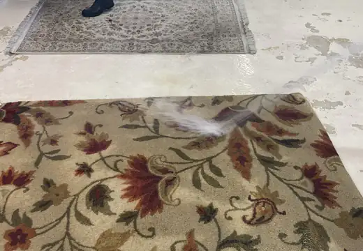 Area Rug Cleaning Service Pinecrest