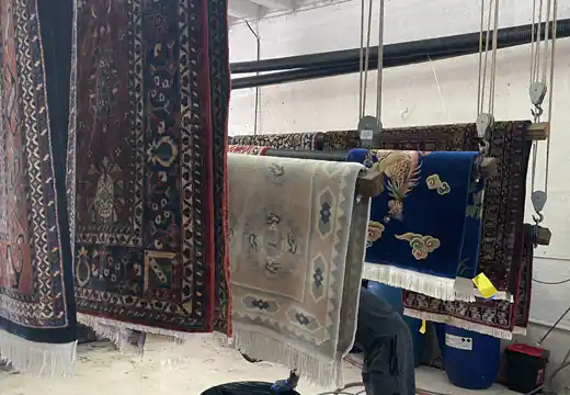 Area Rug Drying Process Kendall