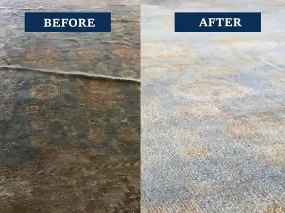 Rug Cleaning Miami