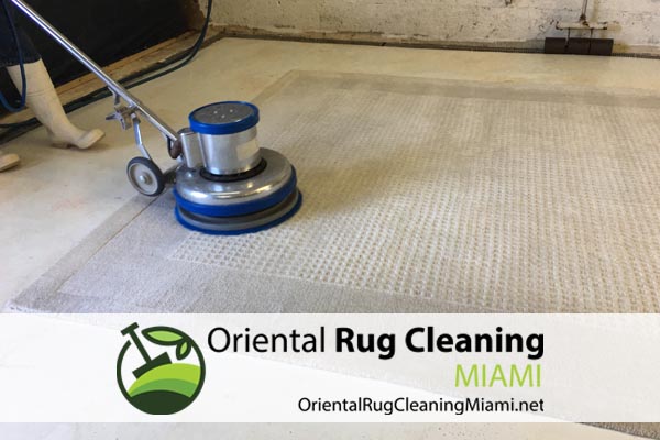 Pat Odor Removal Miami