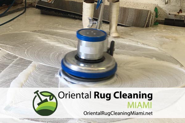 Pat Odor Removal Miami