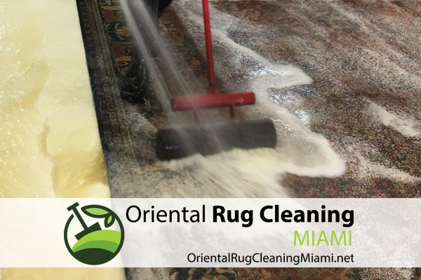 Pat Odor Removal Miami