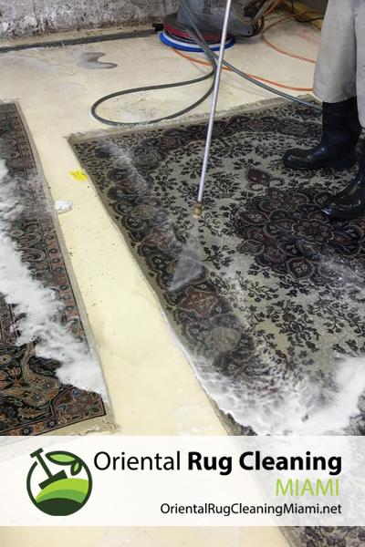 area-rug-cleaning