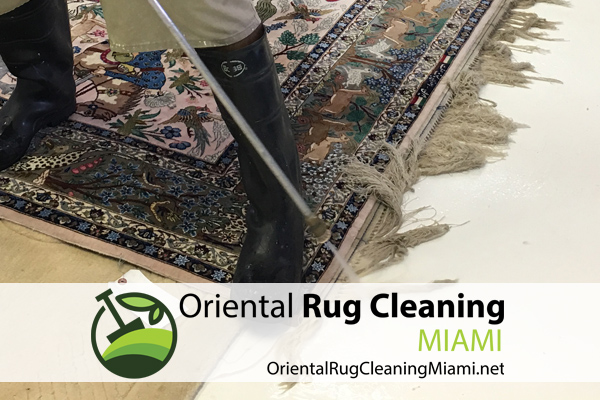 rug-cleaners-miami