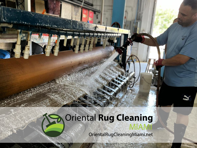 Area Rug Cleaning Service