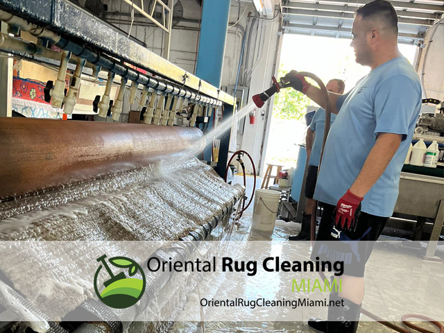 Area Rug Cleaning