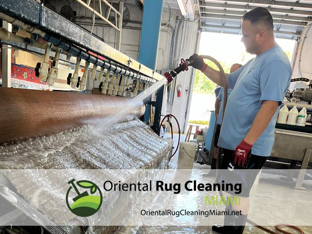 Modern Rug Cleaning Service