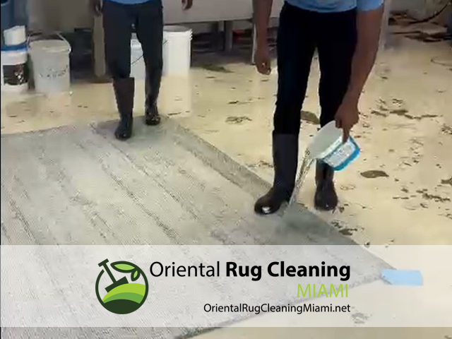Persian Rug Cleaning Service