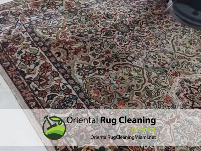 Sisal Rug Cleaning Service Sisal Rug Cleaning Service