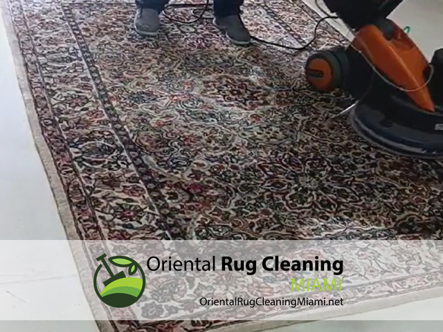 Sisal Rug Cleaning
