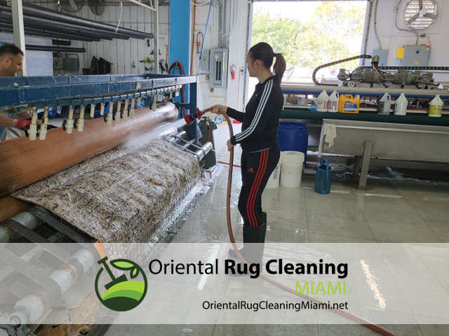 Wool Rug Cleaning Service