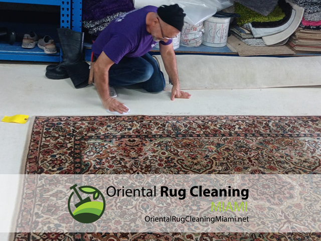 Eliminate Pet Odor & Stains