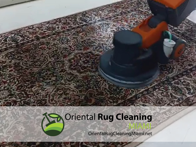 Eliminate Pet Odor & Stains Service