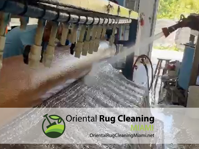Expert Modern Rug Cleaning