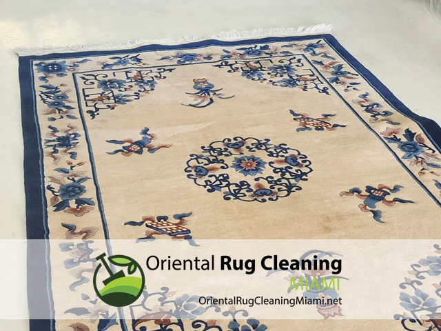 Expert Sisal Rug Cleaning Service