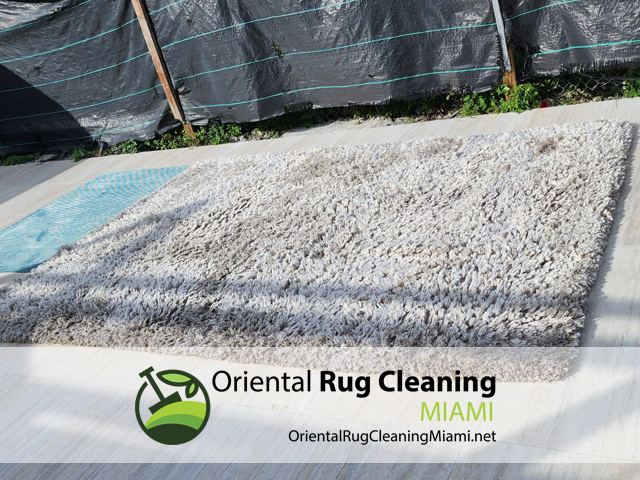 Professional Area Rug Cleaning Service