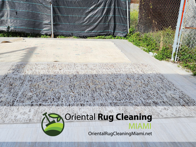 Professional Area Rug Cleaning