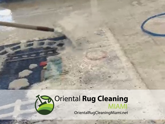 Specialized Persian Rug Cleaning