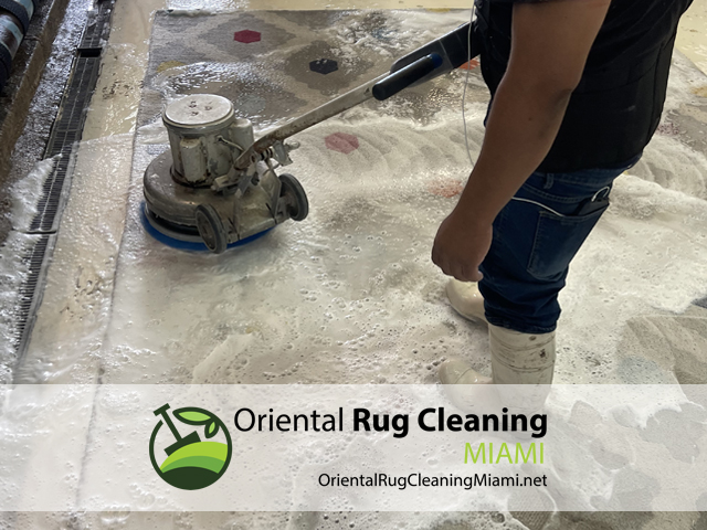 Area Rug Cleaning