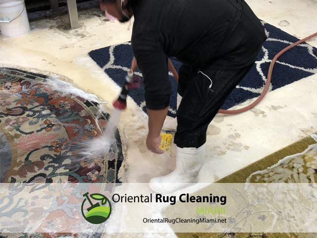 Sisal Rug Cleaning