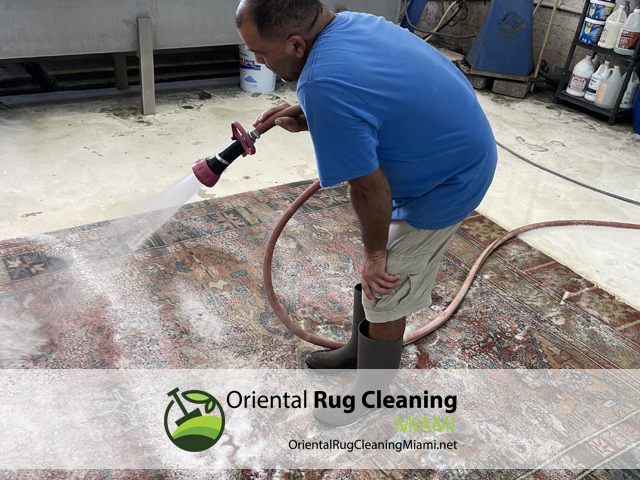 Pet Odor & Stain Removal