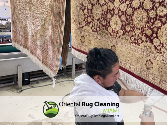 Pet Odor & Stain Removal