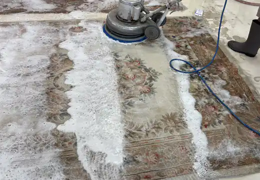 Area Rug Cleaners