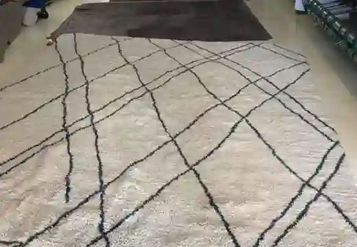 Modern Rug Cleaning