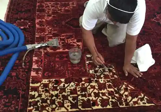 Rug Color Correction Process