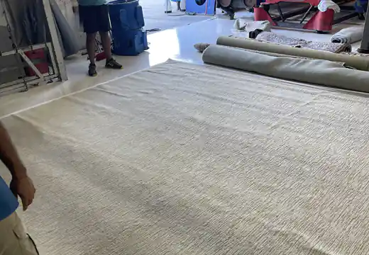 Sisal Rug Cleaning Service