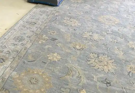 Modern Rug and Area Rug