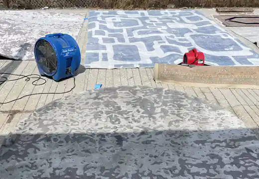 Area Rug Drying South Beach