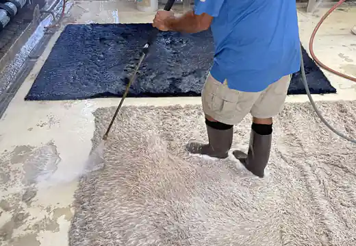 Wool Rug Cleaning Miami